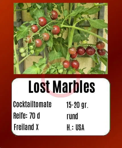 Lost Marbles DER TOMATENFLÜSTERER