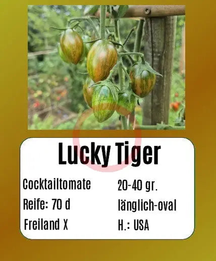 Lucky Tiger DER TOMATENFLÜSTERER