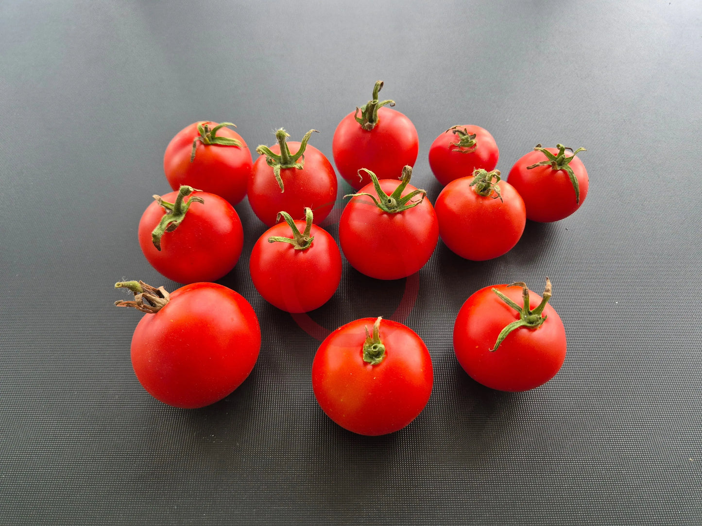 Lukullus DER TOMATENFLÜSTERER
