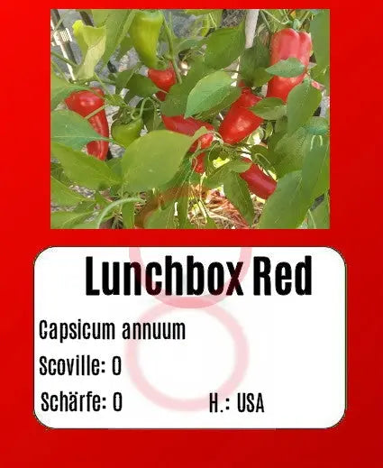 Lunchbox Red DER TOMATENFLÜSTERER