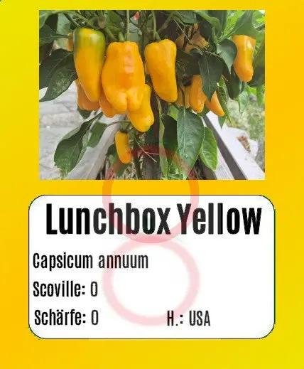 Lunchbox Yellow DER TOMATENFLÜSTERER