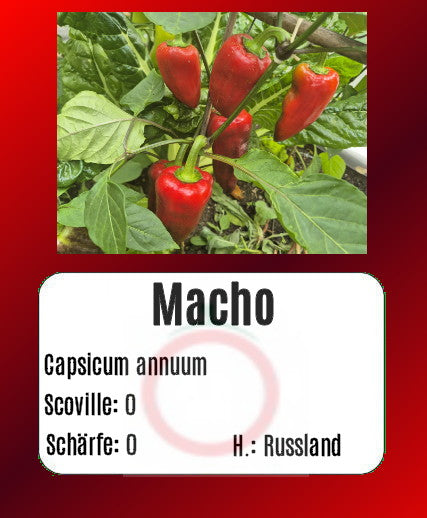 Macho DER TOMATENFLÜSTERER
