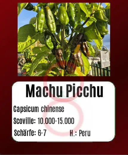 Machu Picchu DER TOMATENFLÜSTERER