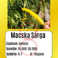 Macska Sárga DER TOMATENFLÜSTERER