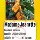 Madame Jeanette DER TOMATENFLÜSTERER