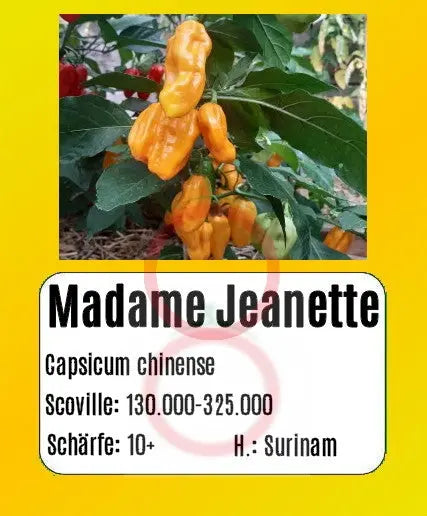 Madame Jeanette DER TOMATENFLÜSTERER