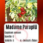 Madame Paraplü DER TOMATENFLÜSTERER