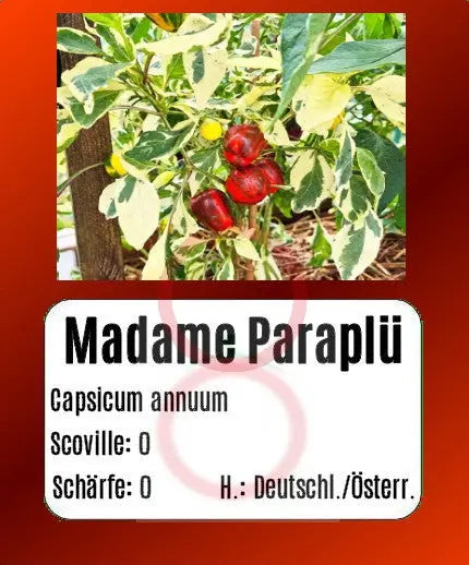 Madame Paraplü DER TOMATENFLÜSTERER