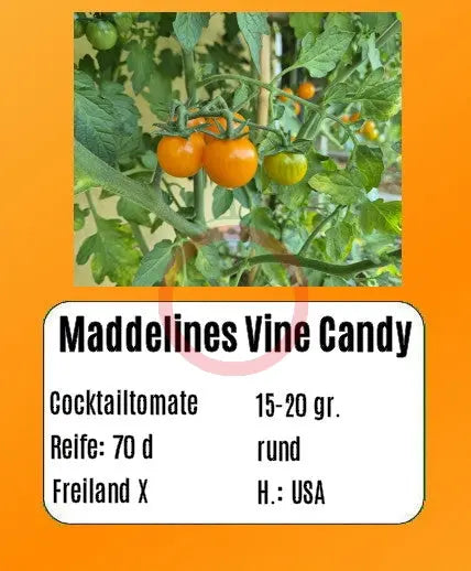 Maddelines Wine Candy DER TOMATENFLÜSTERER