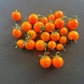 Maddelines Wine Candy DER TOMATENFLÜSTERER