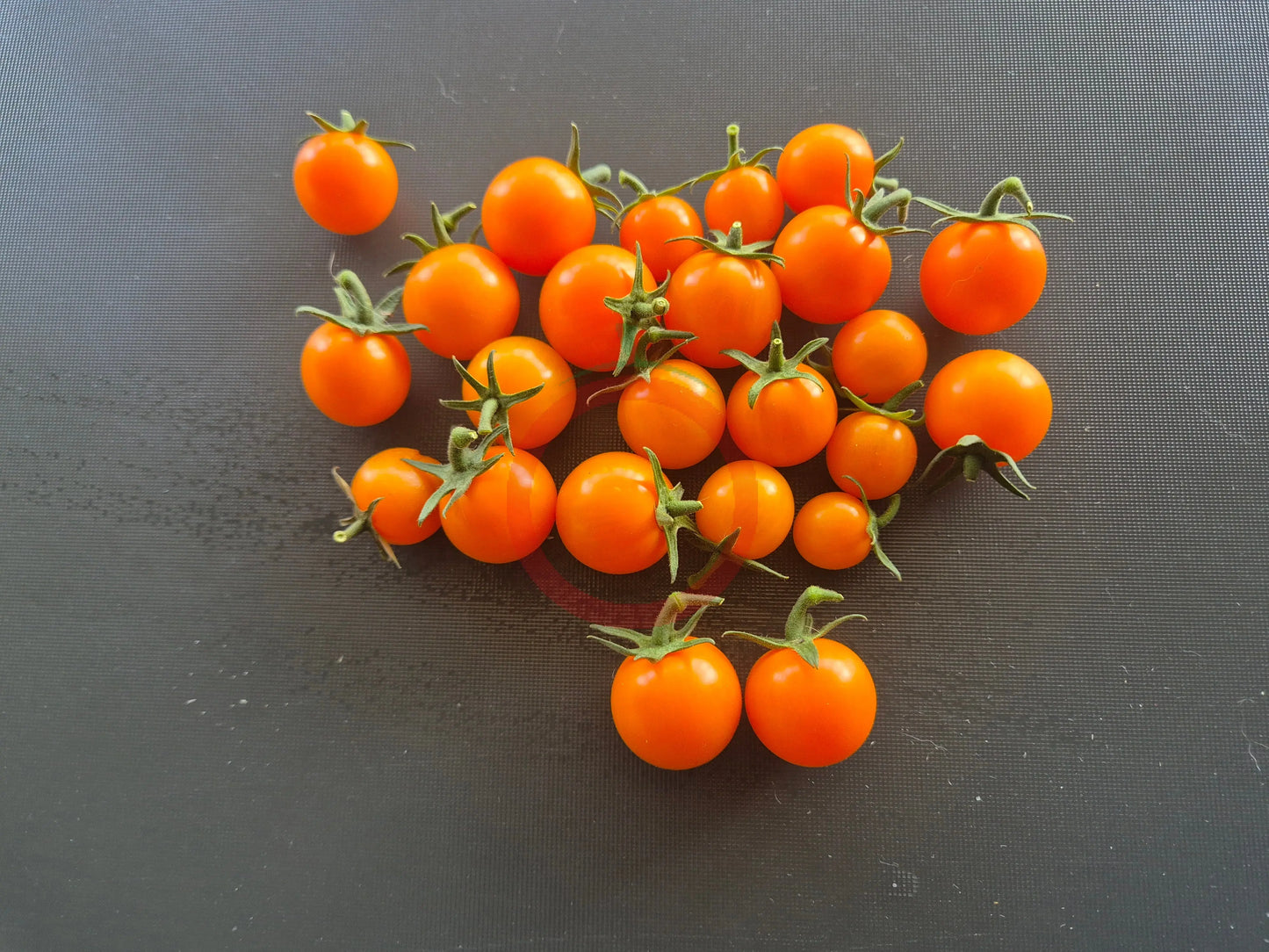 Maddelines Wine Candy DER TOMATENFLÜSTERER