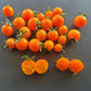 Maddelines Wine Candy DER TOMATENFLÜSTERER