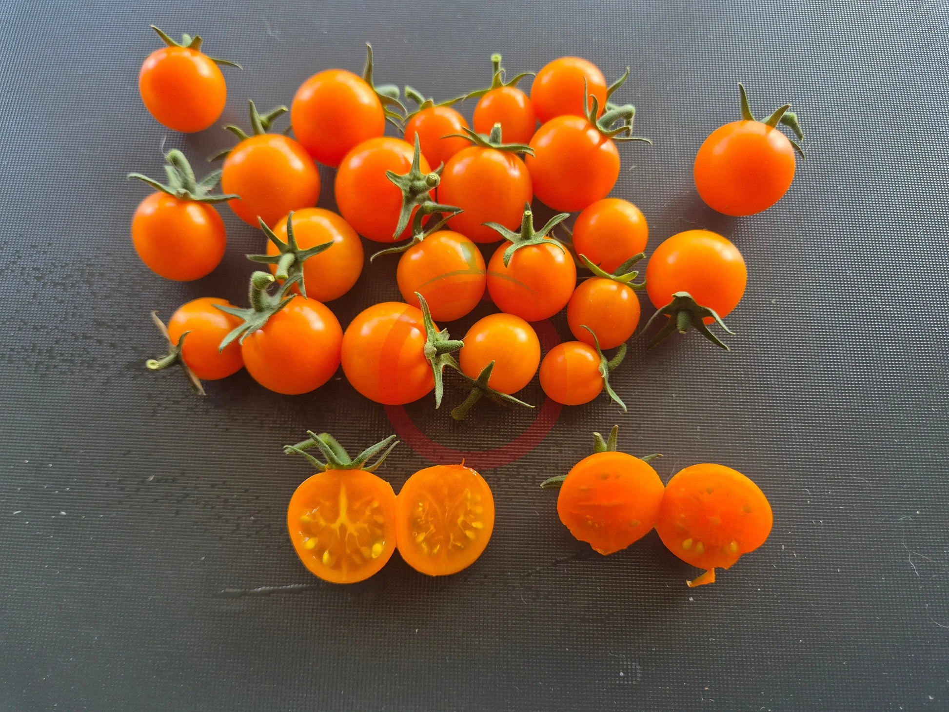 Maddelines Wine Candy DER TOMATENFLÜSTERER