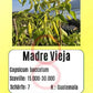 Madre Vieja DER TOMATENFLÜSTERER