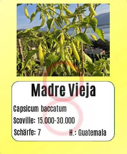 Madre Vieja DER TOMATENFLÜSTERER
