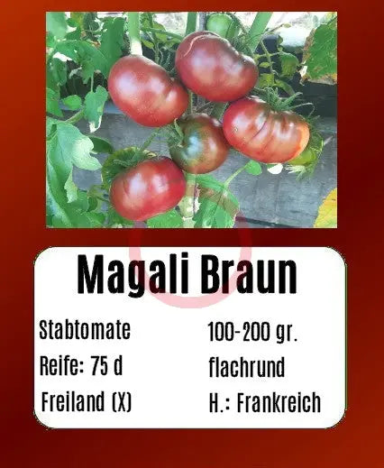 Magali Braun DER TOMATENFLÜSTERER