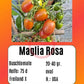 Maglia Rosa DER TOMATENFLÜSTERER