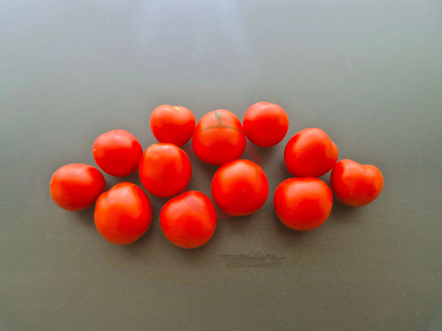 Maja DER TOMATENFLÜSTERER