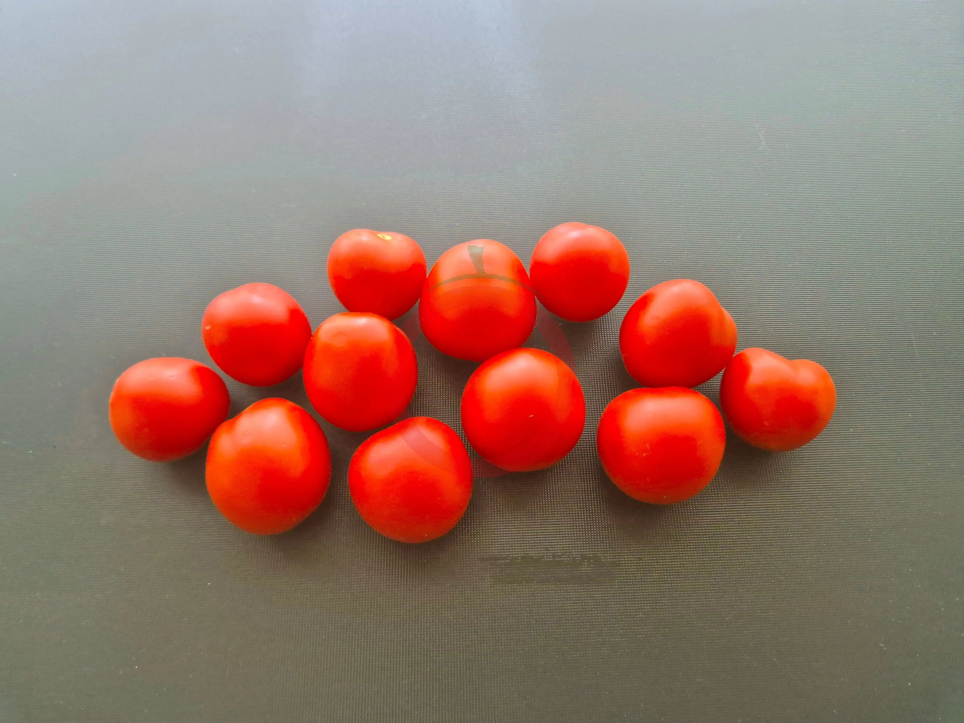 Maja DER TOMATENFLÜSTERER