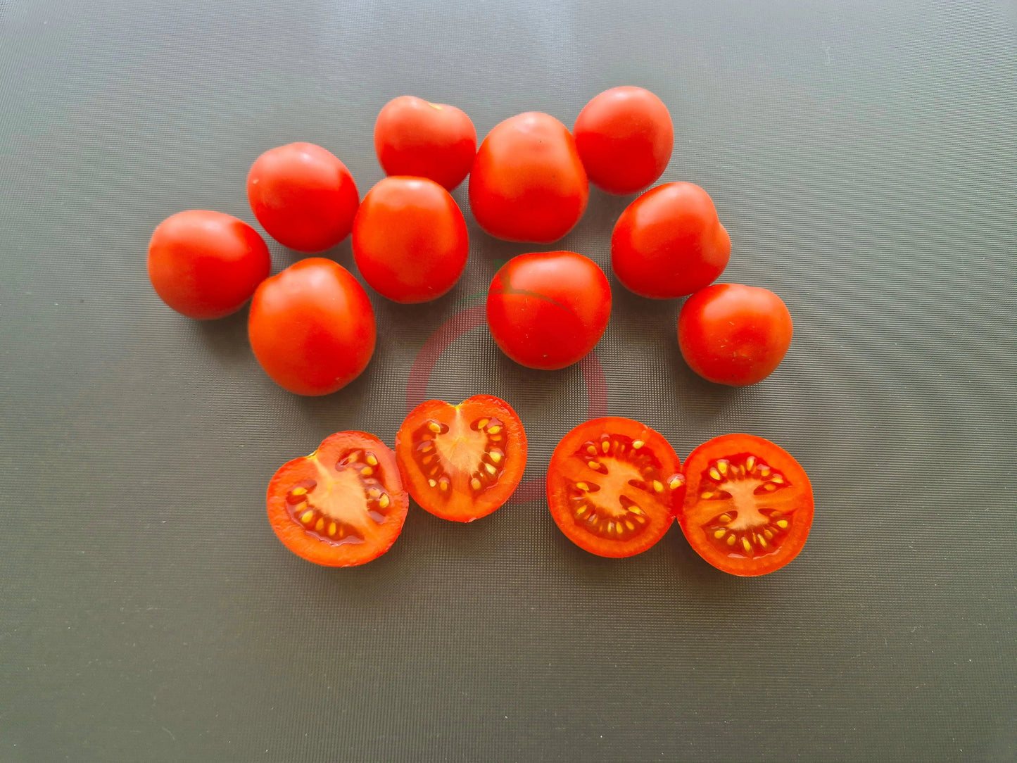 Maja DER TOMATENFLÜSTERER