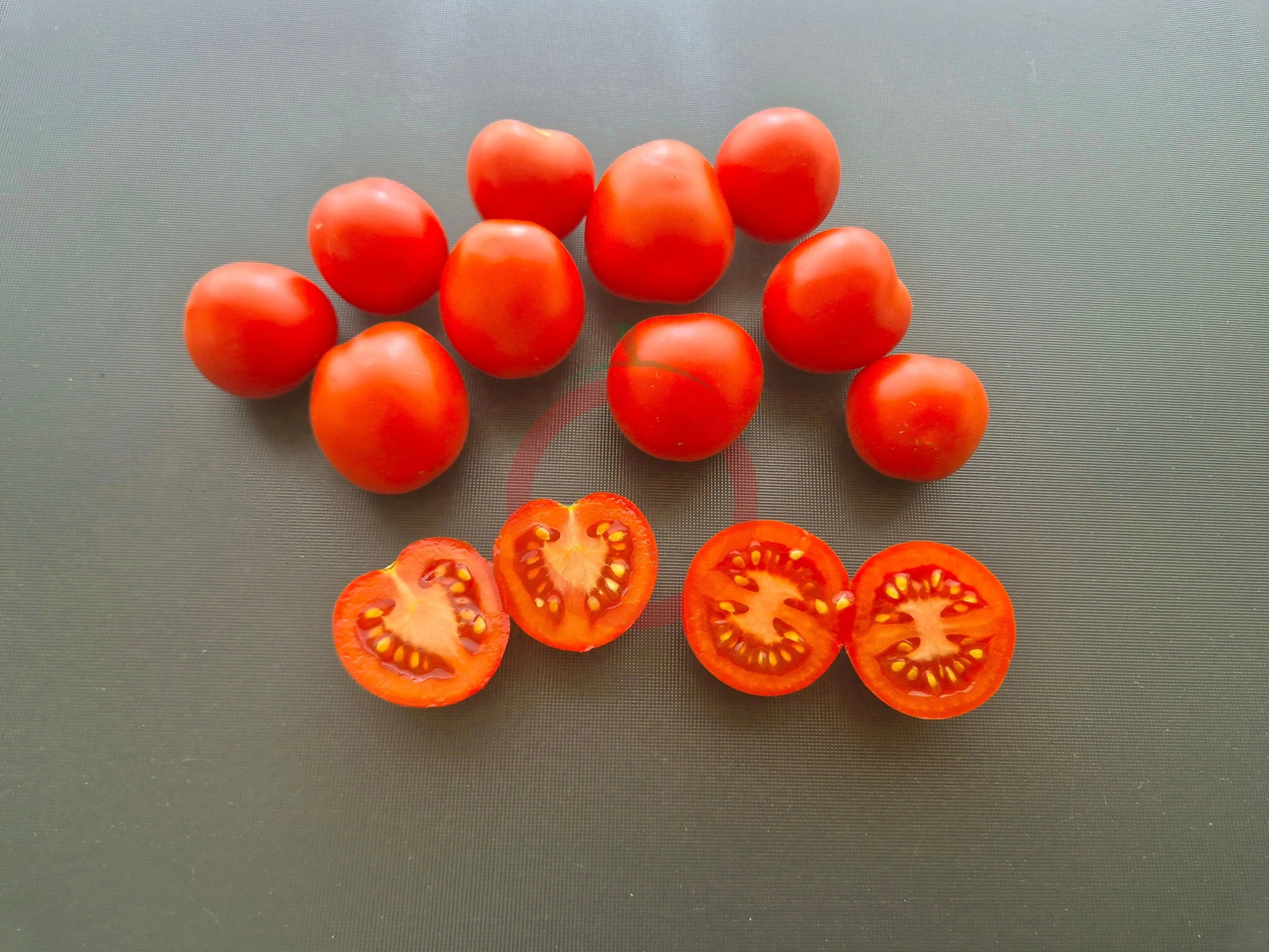 Maja DER TOMATENFLÜSTERER