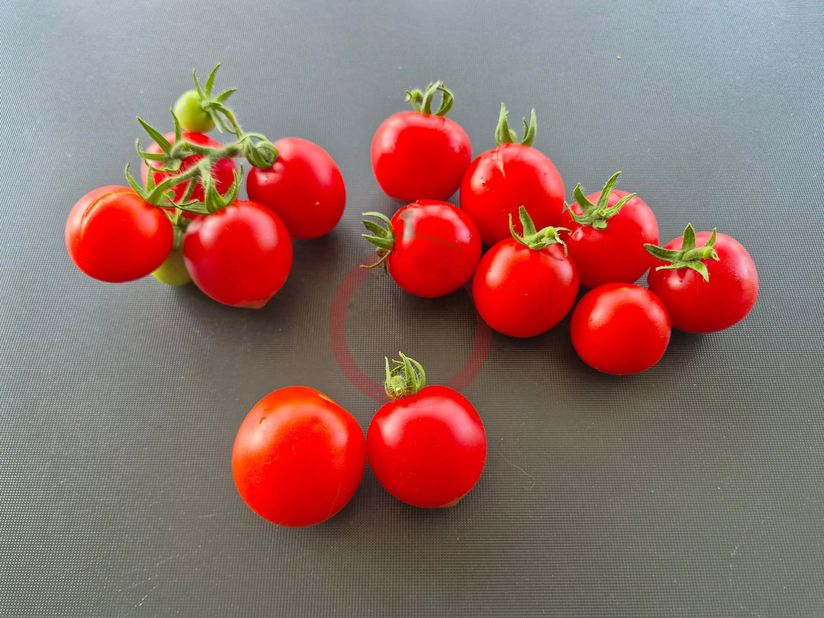 Maja DER TOMATENFLÜSTERER
