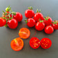 Maja DER TOMATENFLÜSTERER