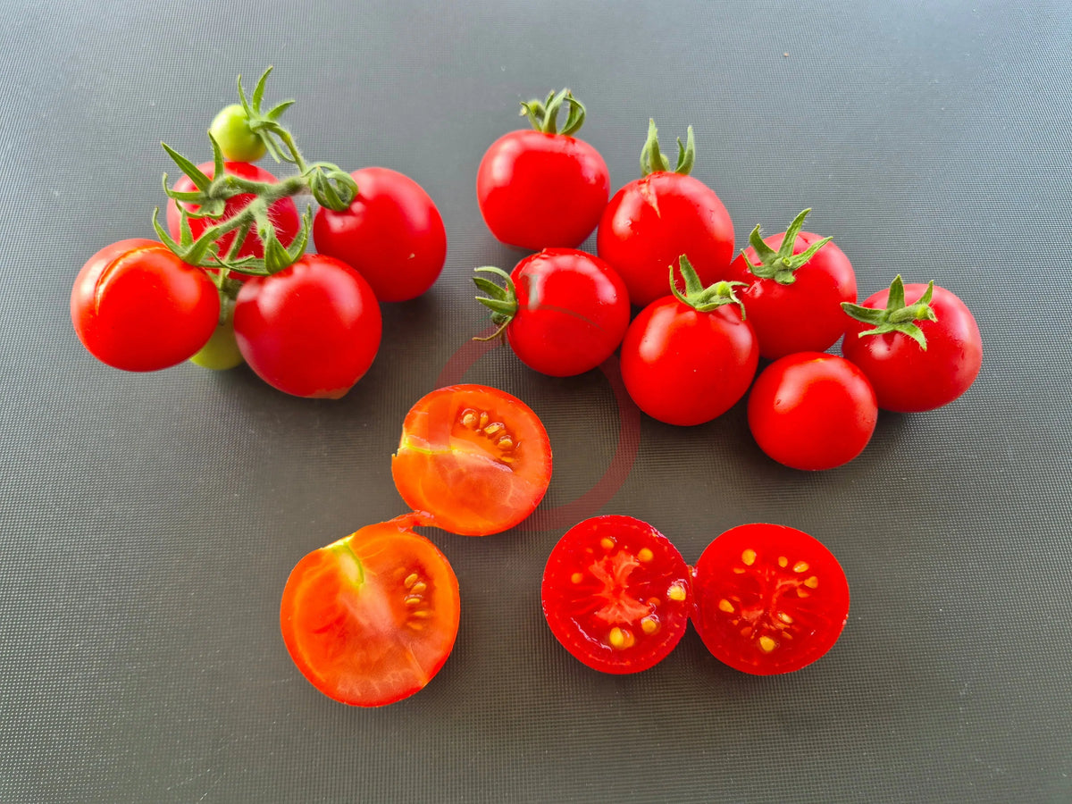Maja DER TOMATENFLÜSTERER