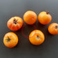 Mallorquin Colgados DER TOMATENFLÜSTERER