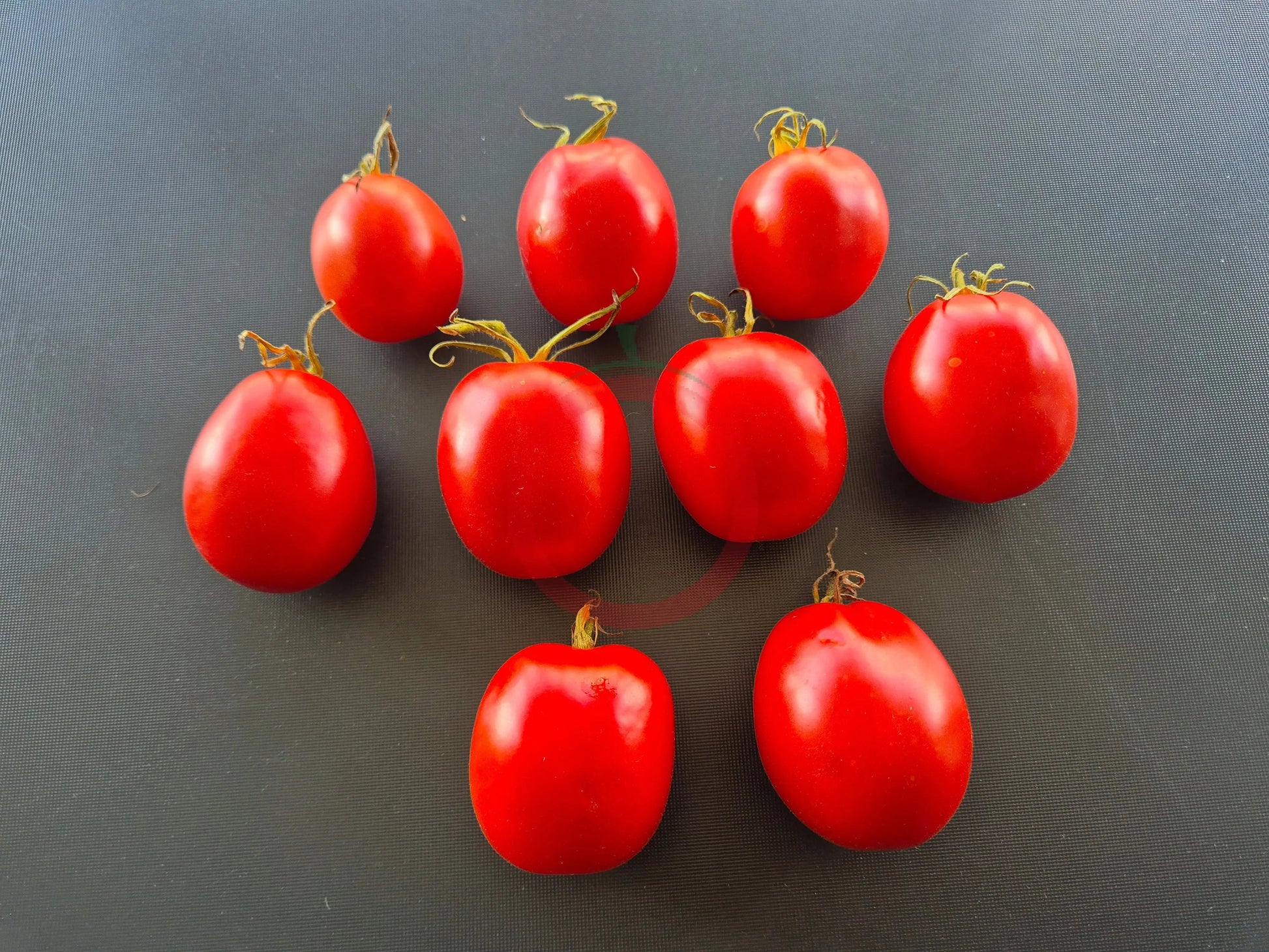 Mamyni DER TOMATENFLÜSTERER