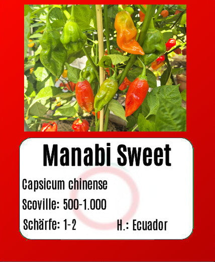 Manabi Sweet DER TOMATENFLÜSTERER