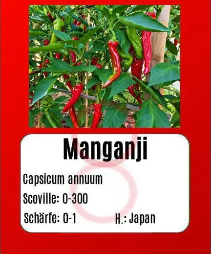 Manganji DER TOMATENFLÜSTERER