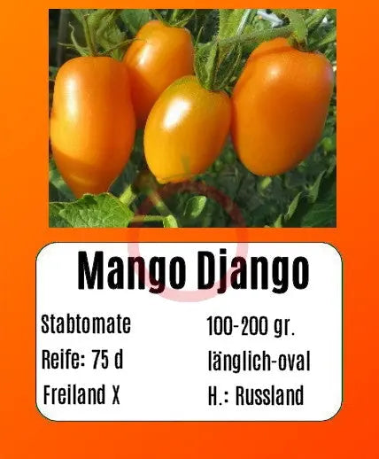 Mango Django DER TOMATENFLÜSTERER