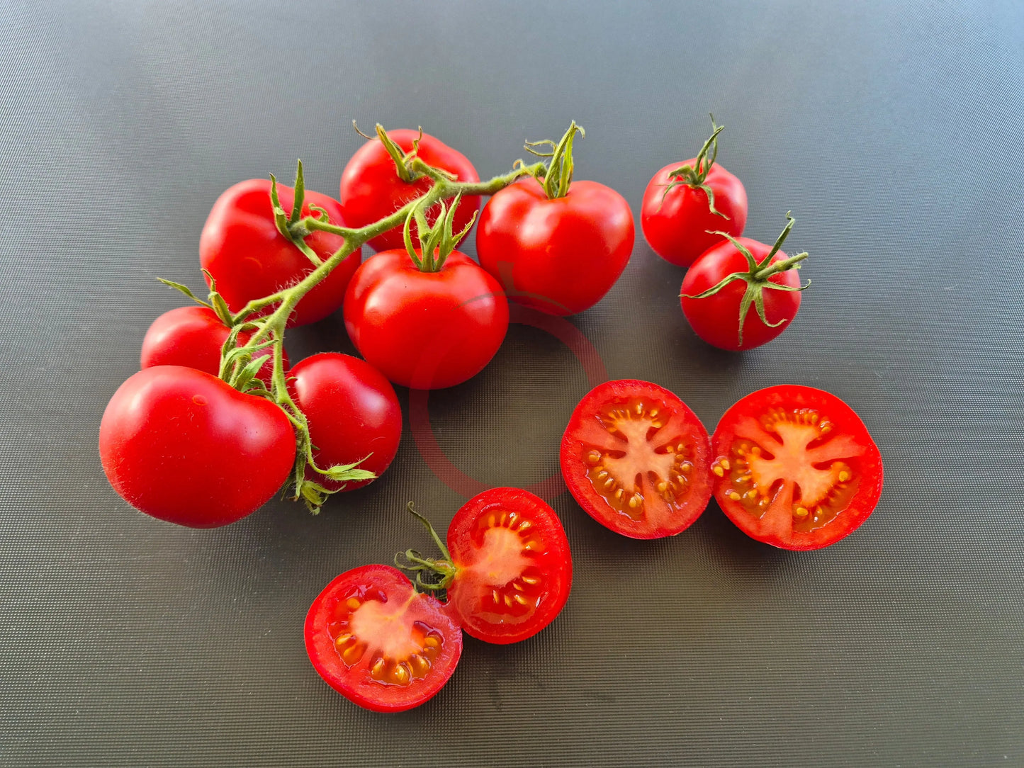 Manx Marvel DER TOMATENFLÜSTERER