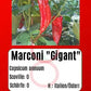 Marconi "Gigant" DER TOMATENFLÜSTERER