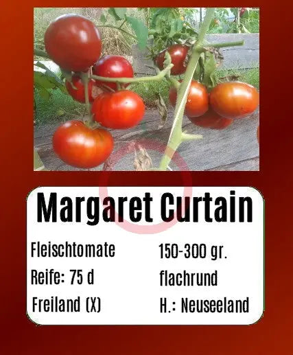 Margaret Curtain DER TOMATENFLÜSTERER