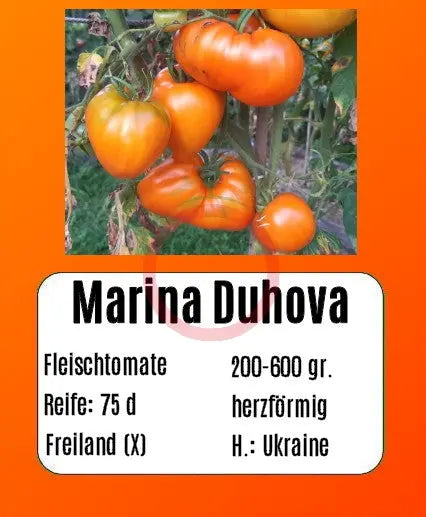Marina Duhova DER TOMATENFLÜSTERER