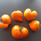 Marina Duhova DER TOMATENFLÜSTERER