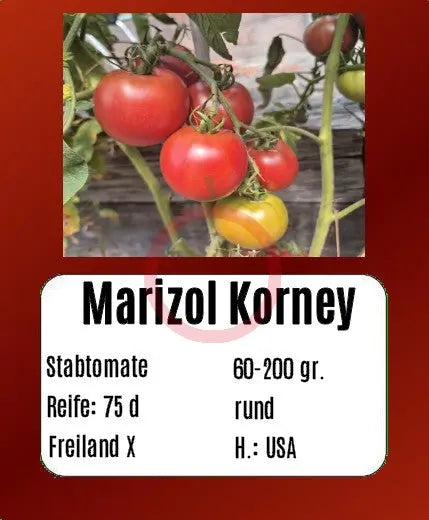 Marizol Korney DER TOMATENFLÜSTERER