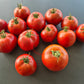 Marizol Korney DER TOMATENFLÜSTERER