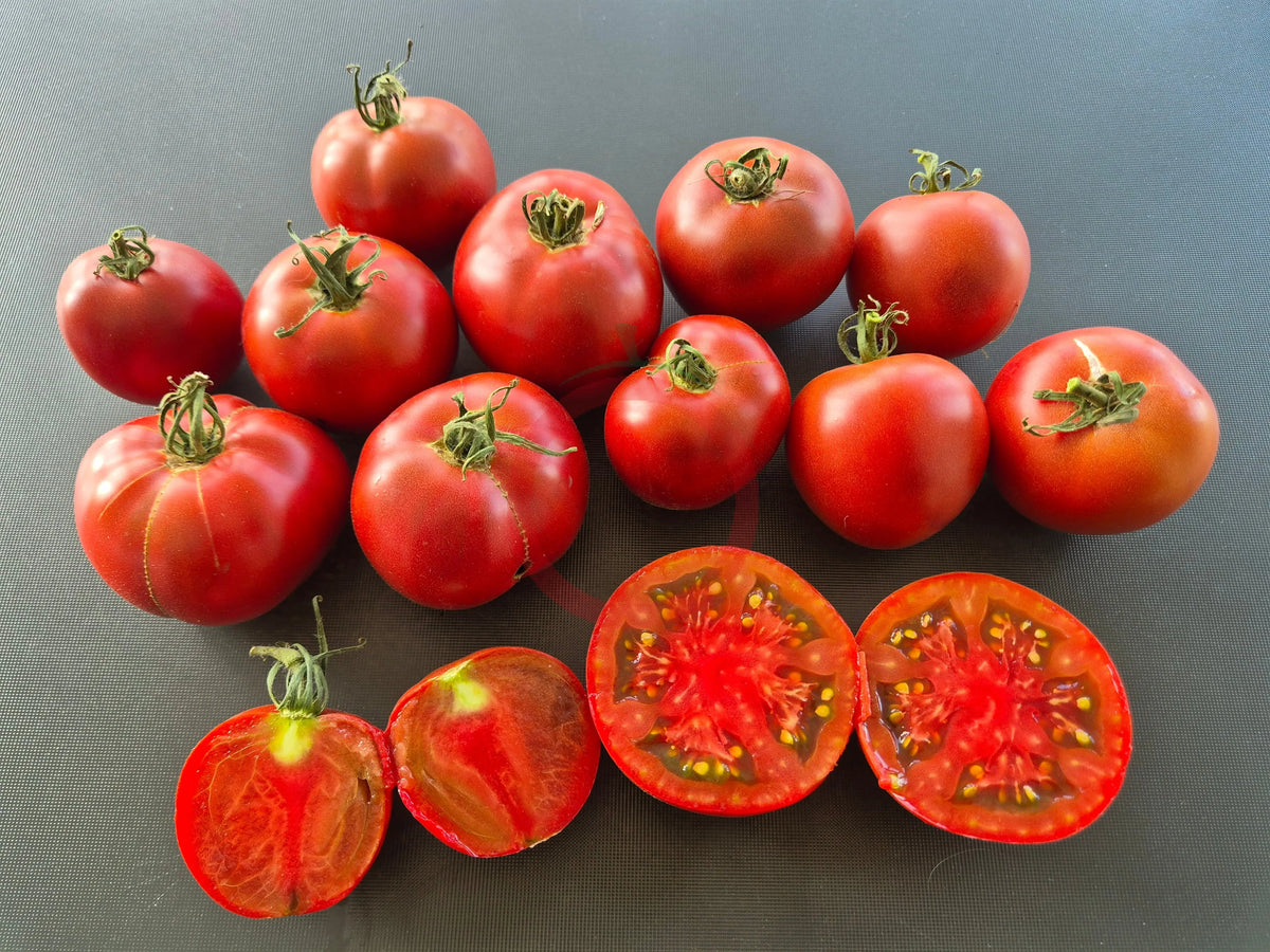 Marizol Korney DER TOMATENFLÜSTERER