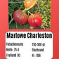 Marlowe Charleston DER TOMATENFLÜSTERER