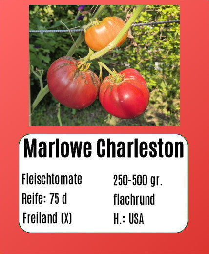 Marlowe Charleston DER TOMATENFLÜSTERER
