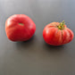 Marlowe Charleston DER TOMATENFLÜSTERER