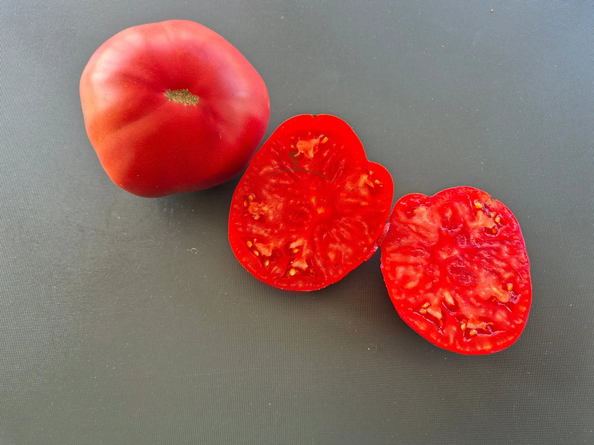 Marlowe Charleston DER TOMATENFLÜSTERER