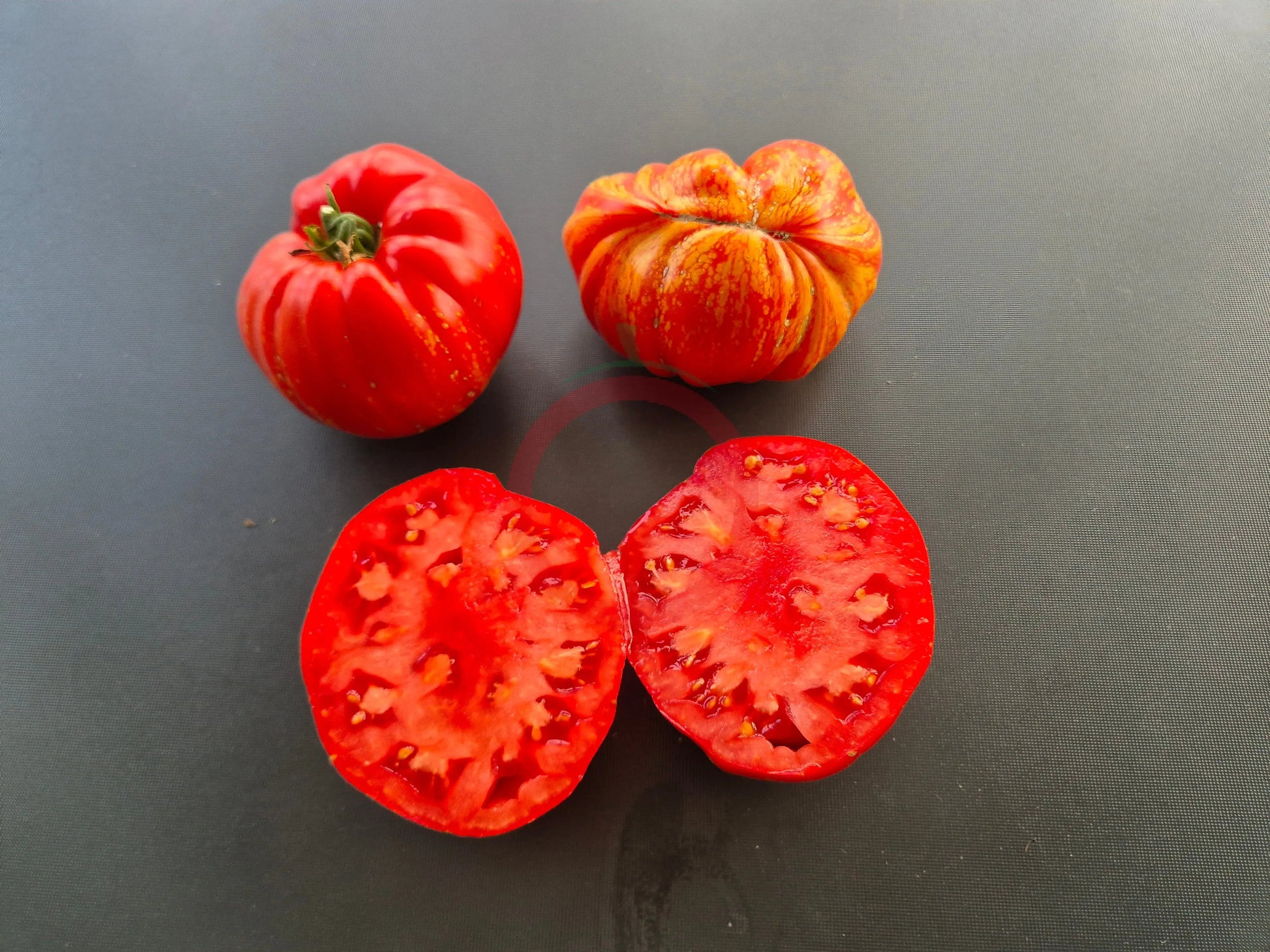 Marmande de Montpellier DER TOMATENFLÜSTERER