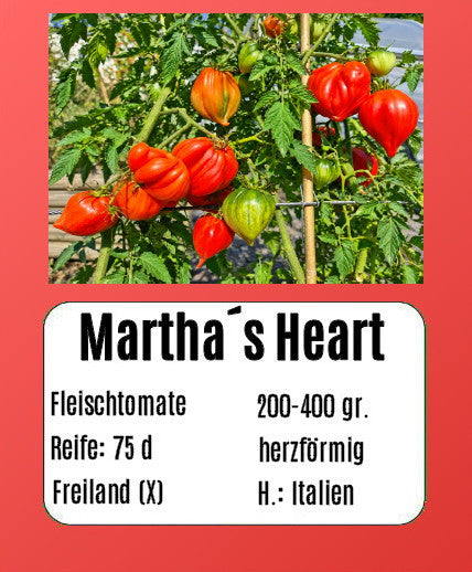 Martha´s Heart