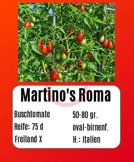 Martino's Roma DER TOMATENFLÜSTERER