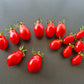 Martino's Roma DER TOMATENFLÜSTERER