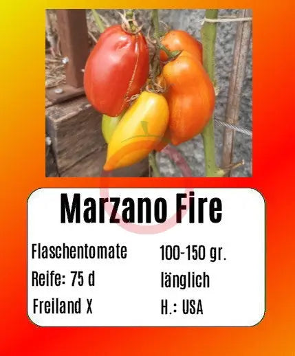 Marzano Fire DER TOMATENFLÜSTERER